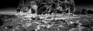 Botanical_Beach_Panorama_Black_N_White