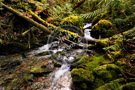 Creek -001_DSC_8724
