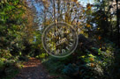 Fall_Scene_Galloping_Goose_002
