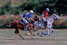 Polo_006_KMT6298