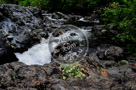 Sooke_River_004_KTA7805-Edit