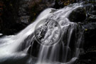 Todd_Creek_005